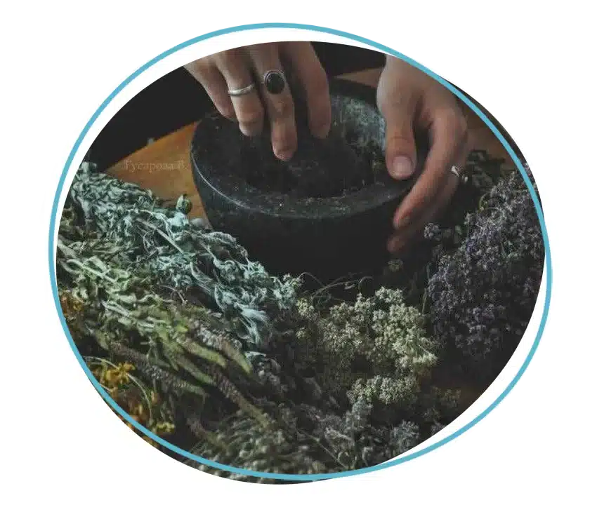 A person processing plant